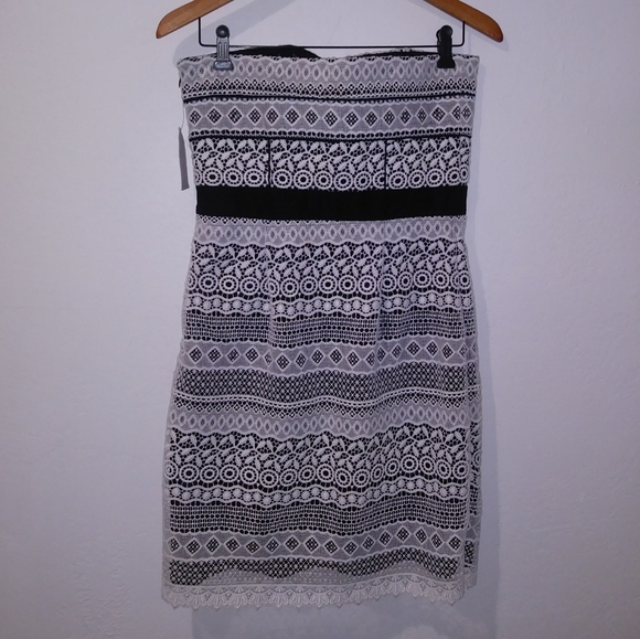 NWT Cynthia Steffe Trudy Embroidered Eyelet Dress - Picture 6 of 7